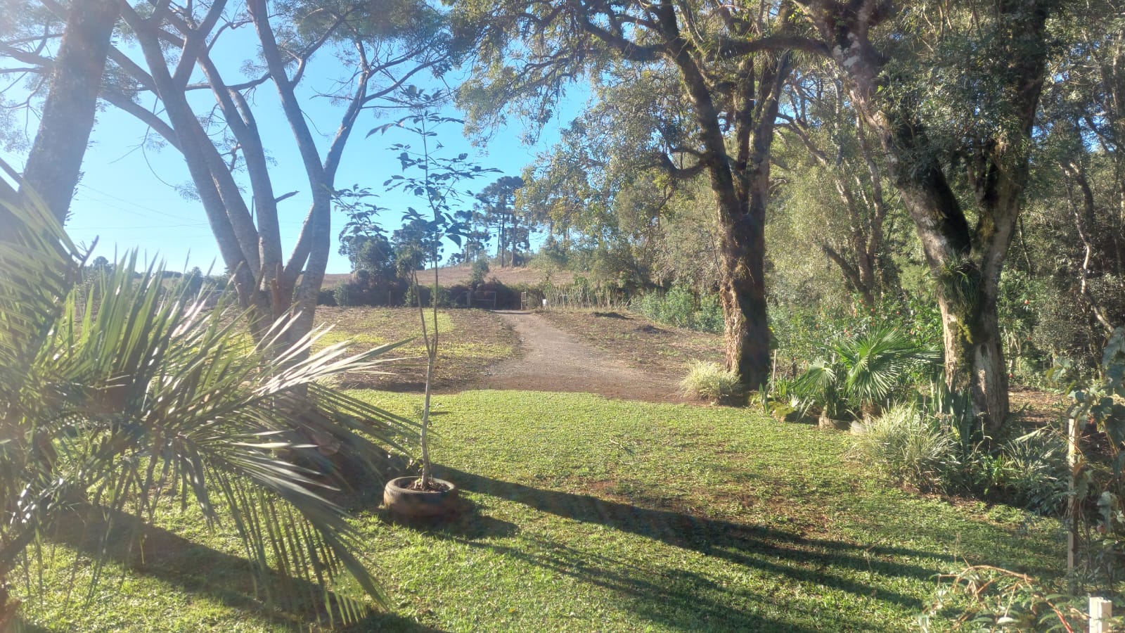 Imagem doChácara na localidade de Gavião (Morro do Faria) - Três Barras - SC