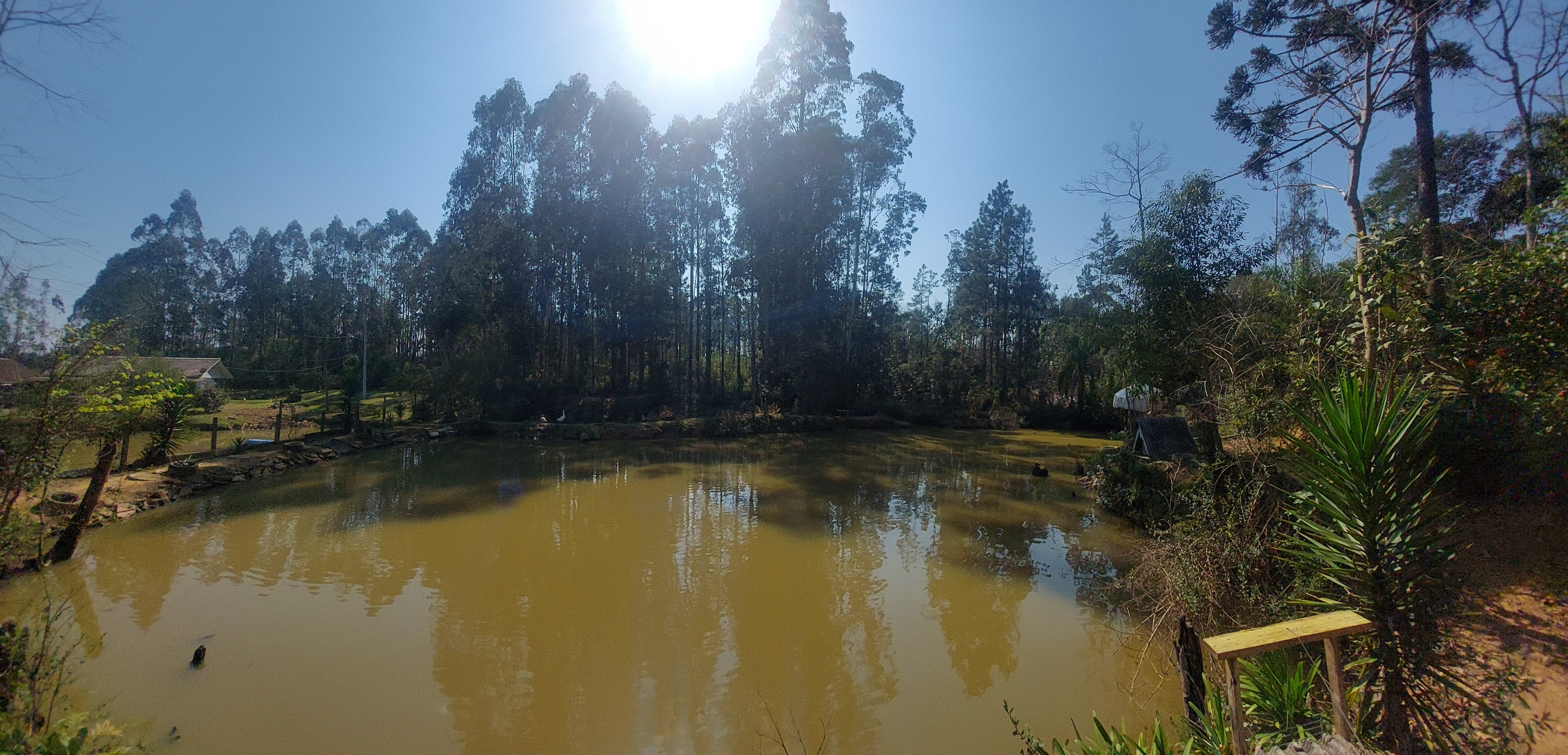 Imagem doTerreno Rural com 3.000 m2 com 2 tanques 500 pés de erva mate - Bairro Alto Piedade Canoinhas SC