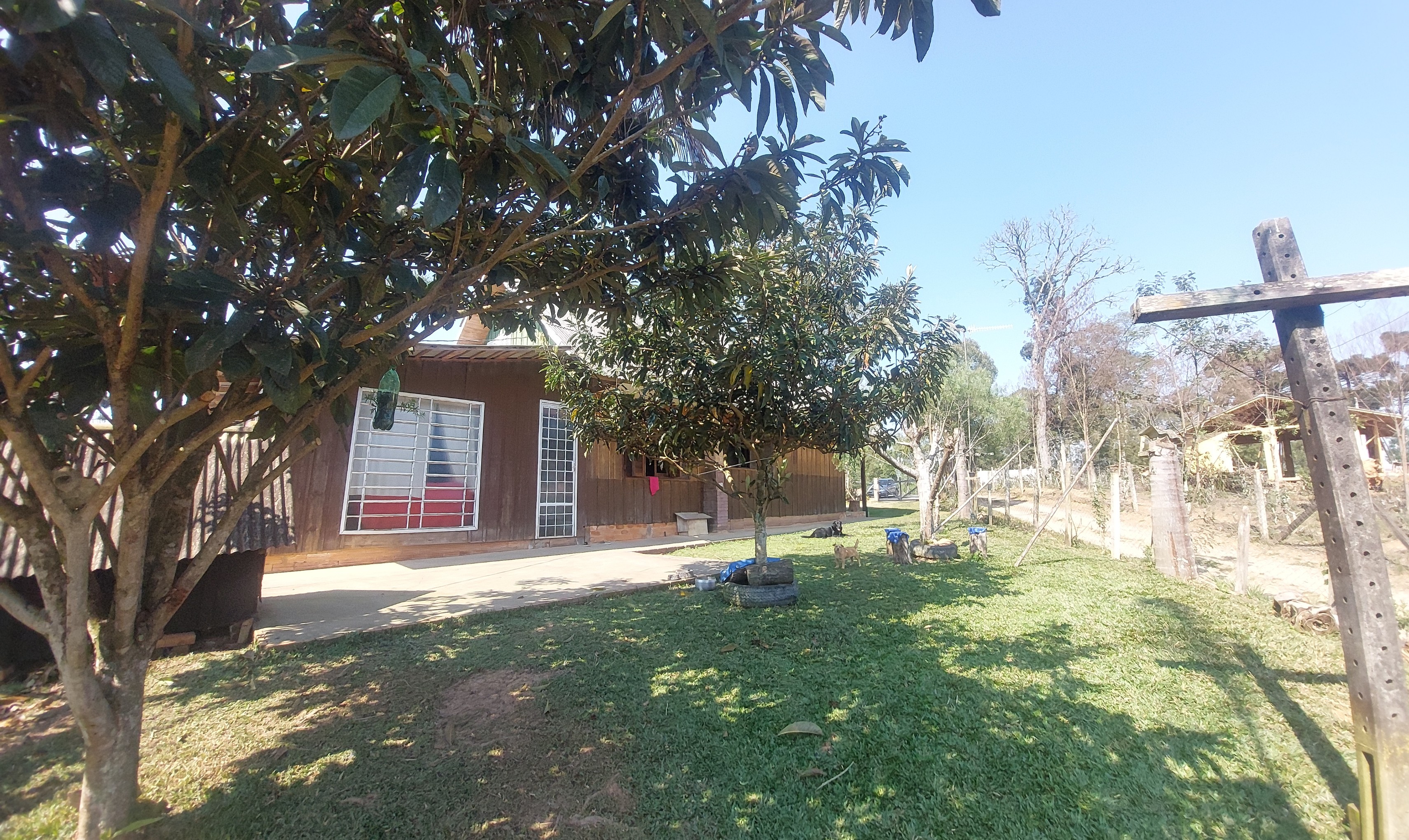 Imagem doChácara com 4.200 m2 Casa (Chalé) misto,  com 130 m2 - 2 tanques 500 pés de Erva Mate - Bairro Piedade