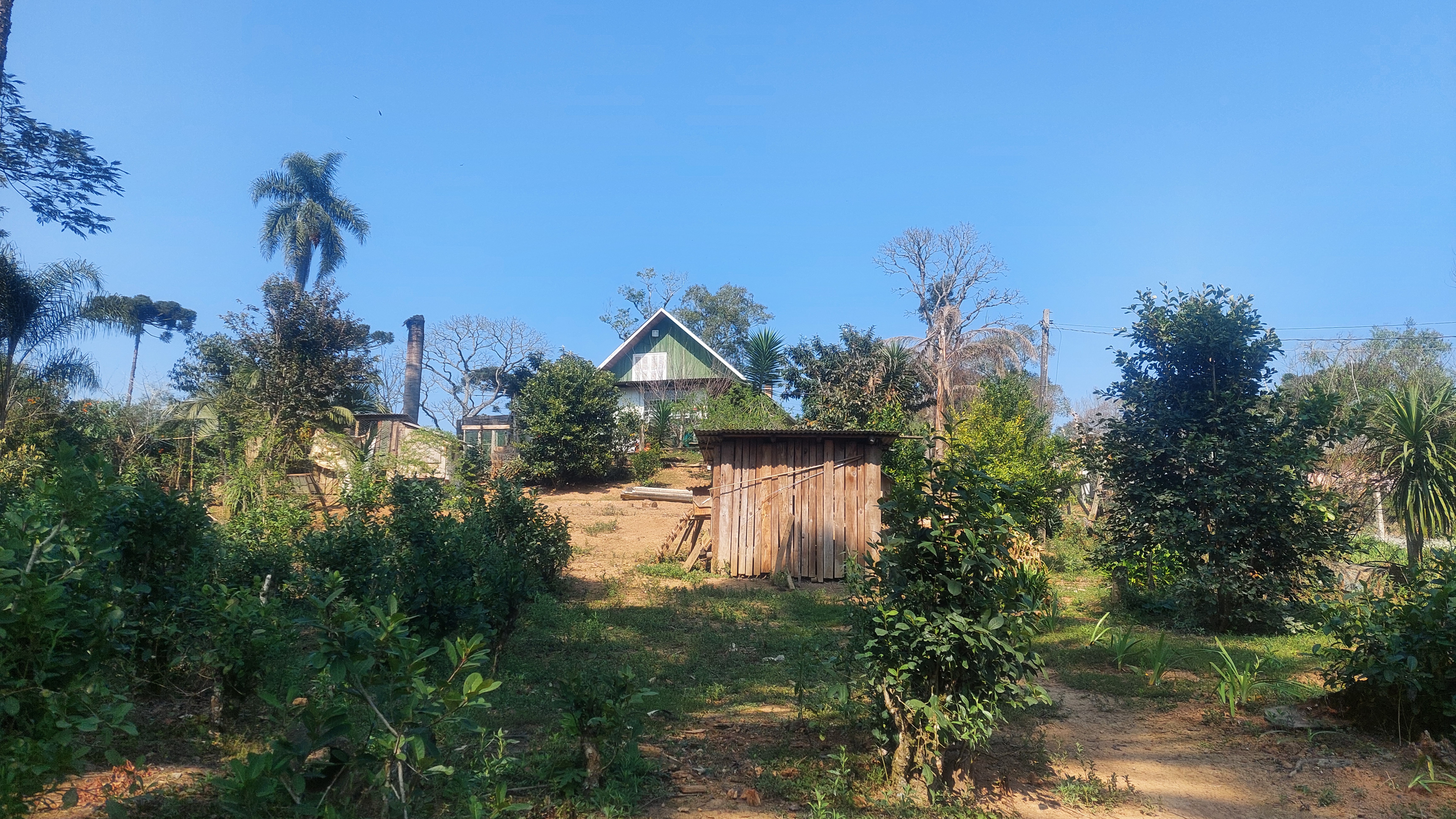 Imagem doChácara com 4.200 m2 Casa (Chalé) misto,  com 130 m2 - 2 tanques 500 pés de Erva Mate - Bairro Piedade