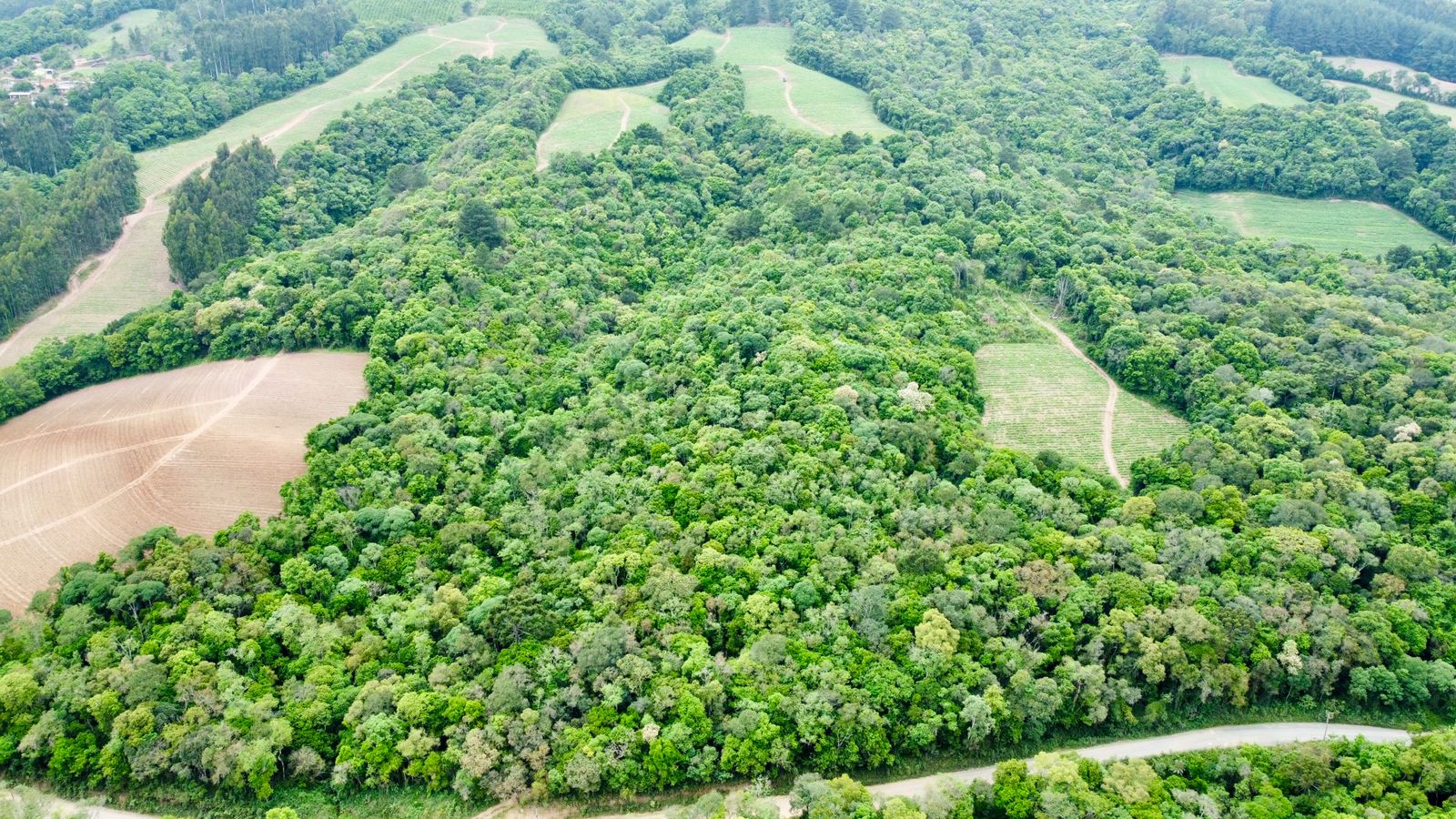 Imagem doTerreno Rural com 36.3 hectares na  localidade de BARRA MANSA  - Canoinhas SC