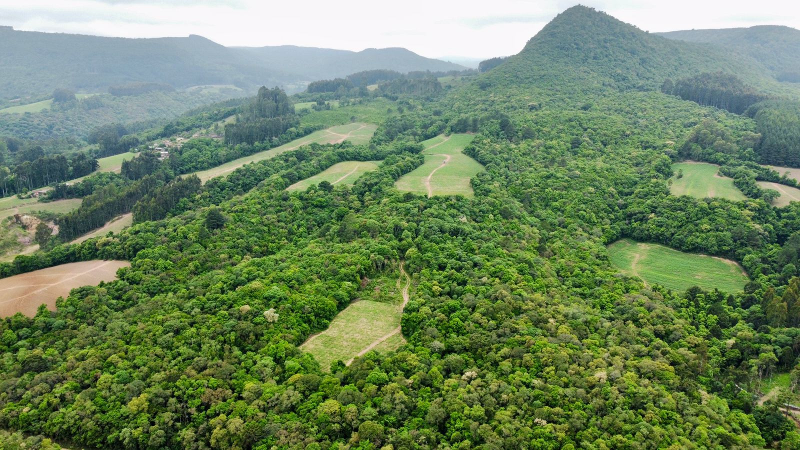 Imagem doTerreno Rural com 36.3 hectares na  localidade de BARRA MANSA  - Canoinhas SC