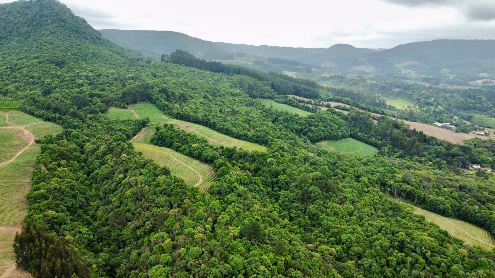 Imagem doTerreno Rural com 36.3 hectares na  localidade de BARRA MANSA  - Canoinhas SC