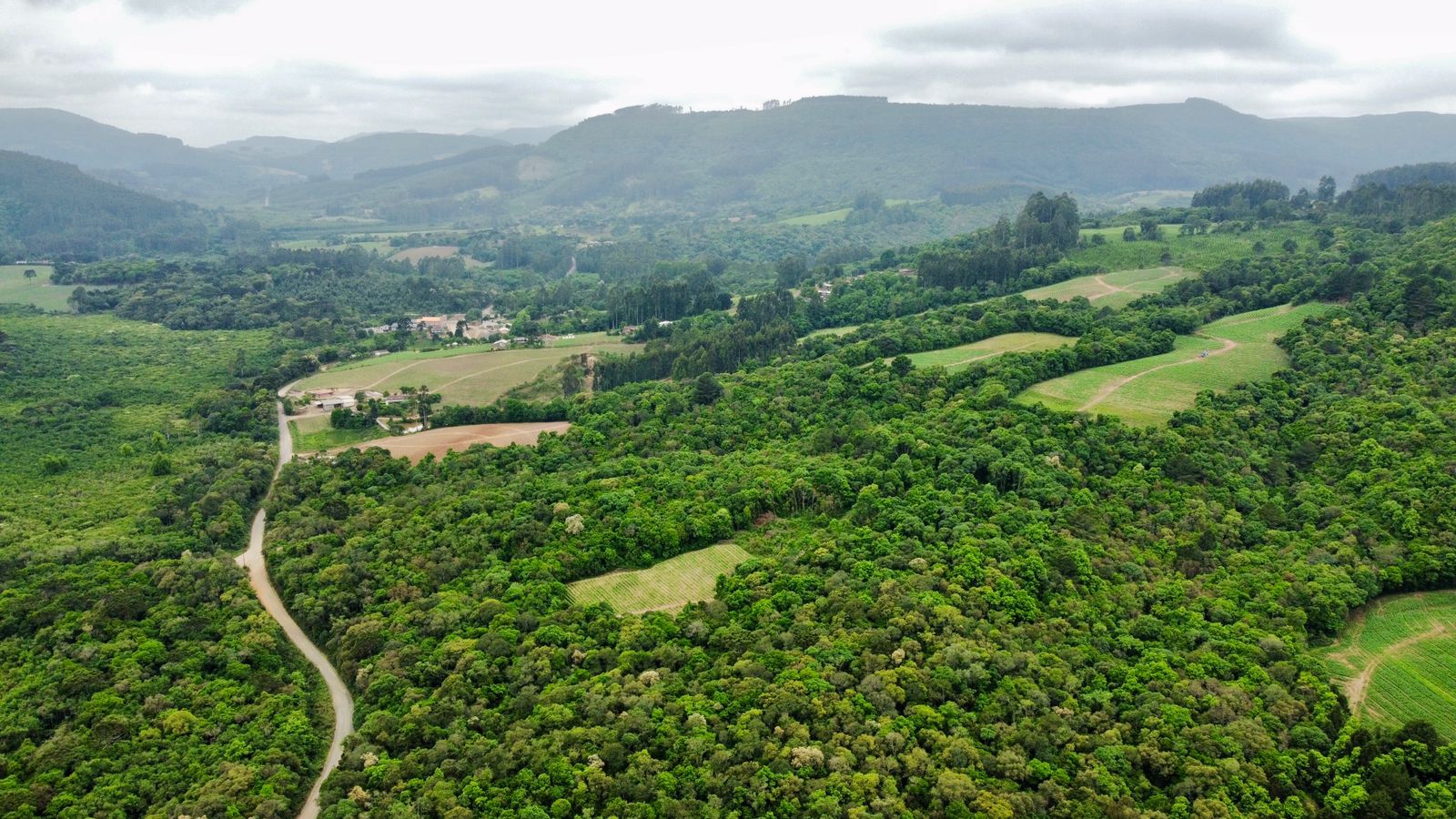 Imagem doTerreno Rural com 36.3 hectares na  localidade de BARRA MANSA  - Canoinhas SC