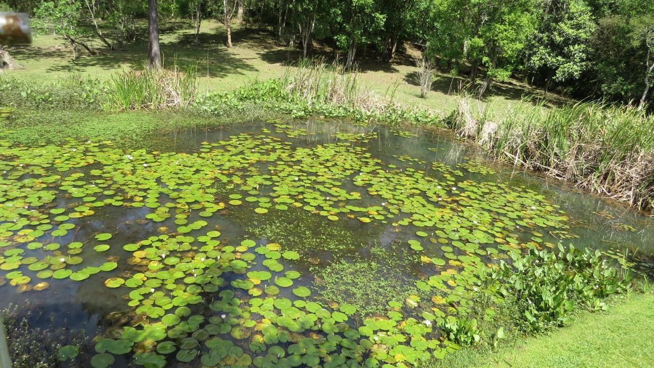 Imagem doSitio em São João dos Cavalheiros -Casa-Tanque- 2.600 m2 Três Barras