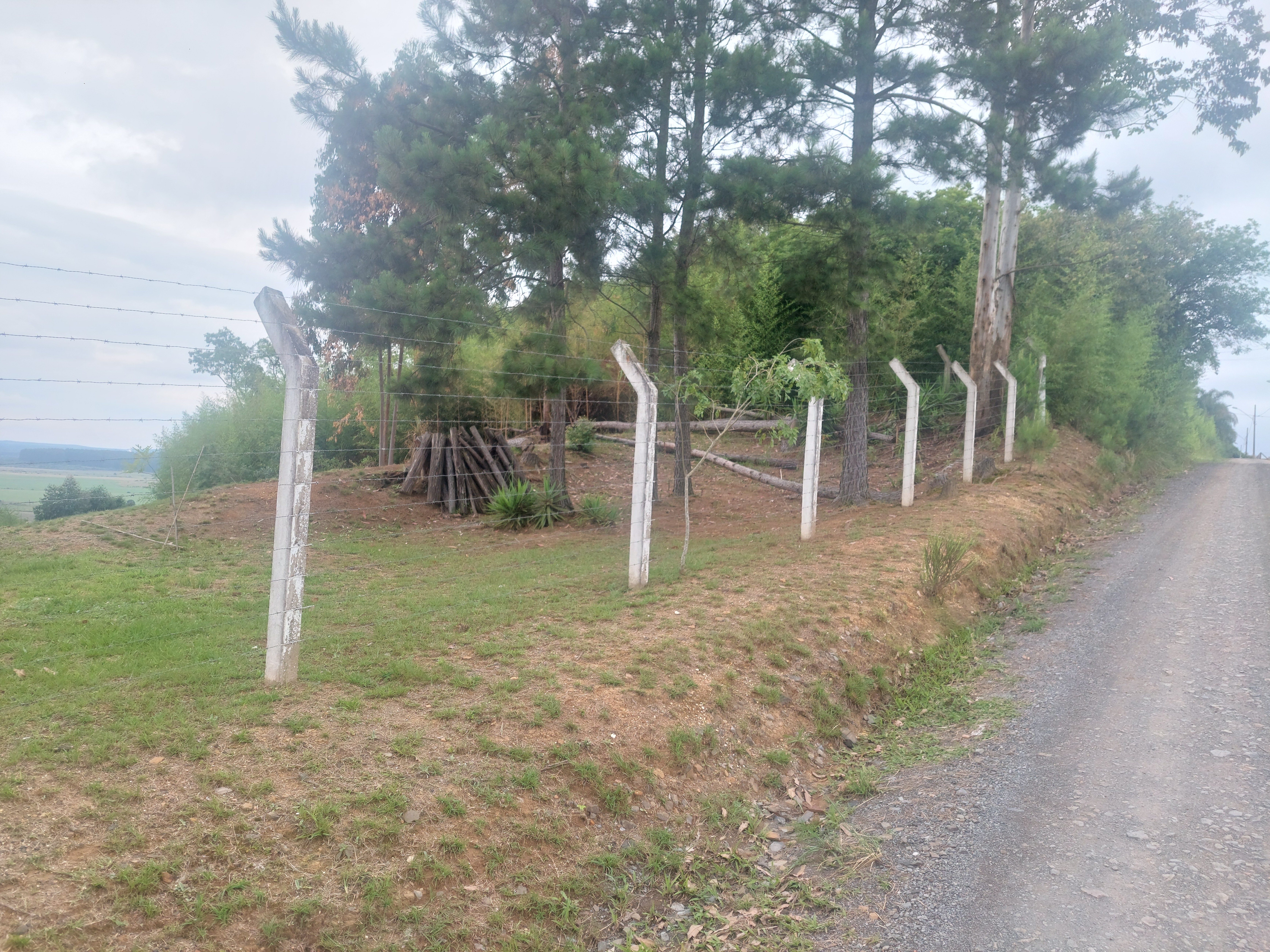 Imagem doChácara Urbana 10.000 m2 - Casa em Madeira Nobre - Deck de Angelim Pedra -  Marcilio Dias