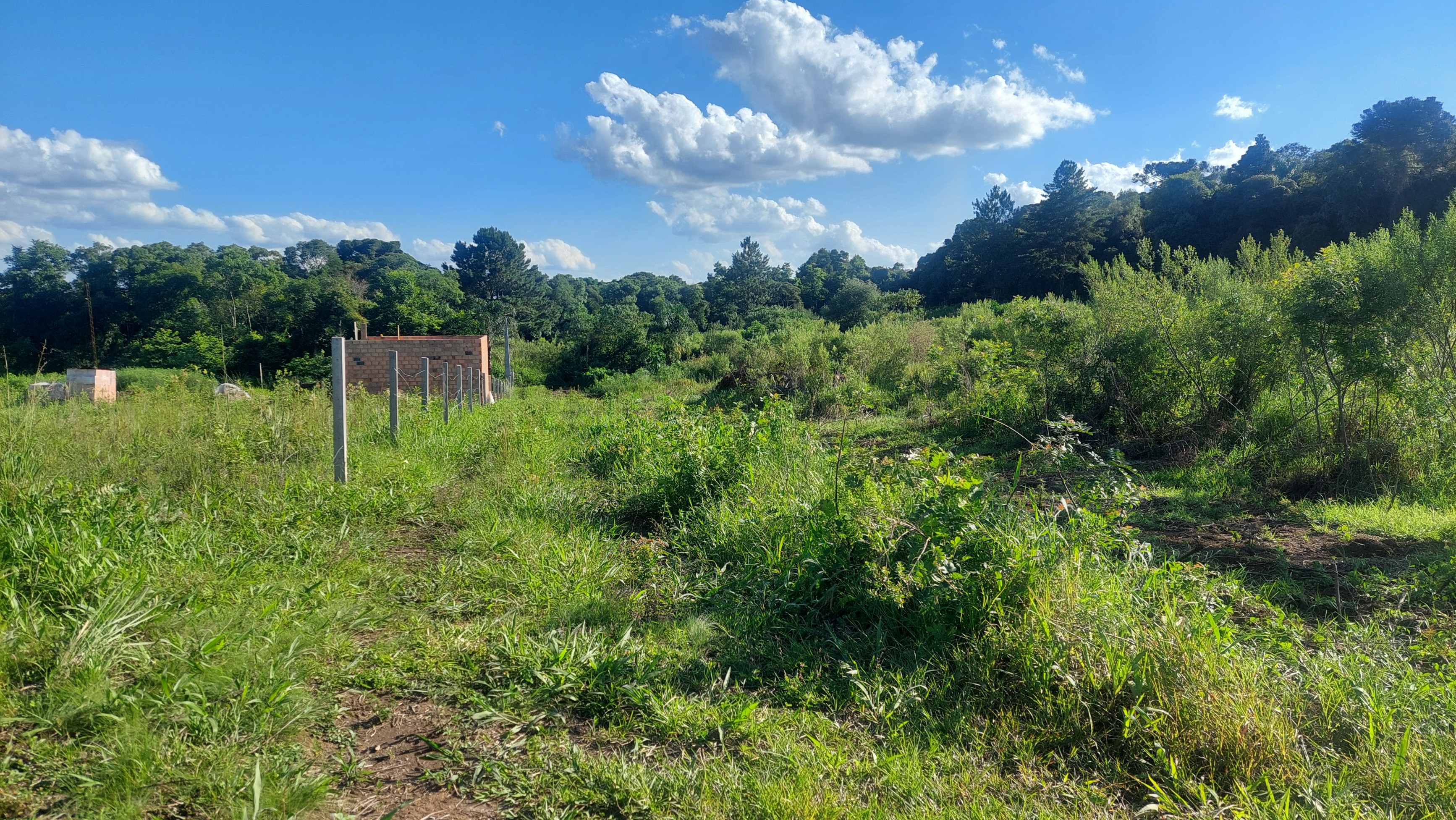 Imagem do Lote com 600 m2 - 15x40 - cercado. frente para estrada municipal da Barra Grande em Três Barras