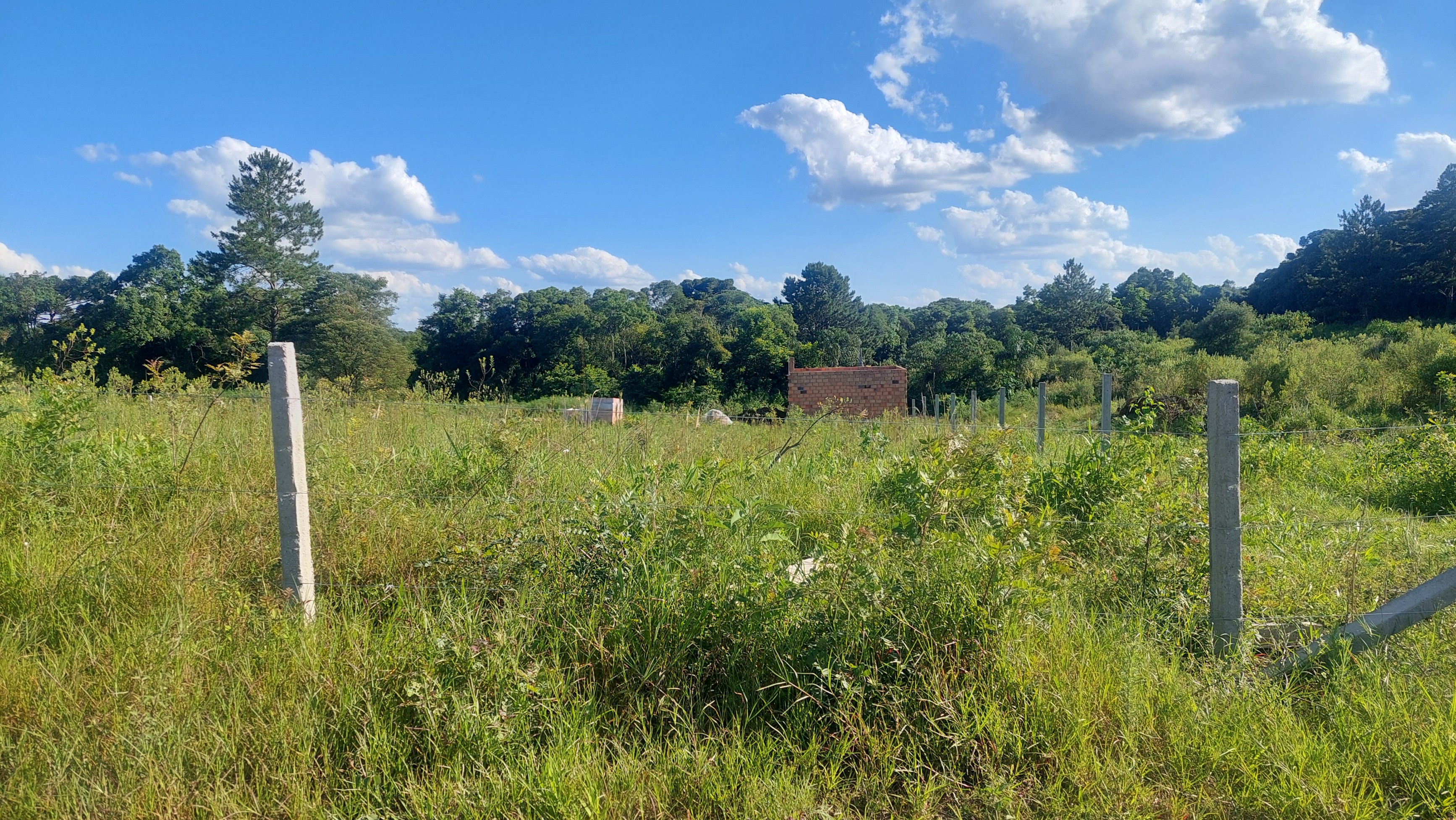 Imagem do Lote com 600 m2 - 15x40 - cercado. frente para estrada municipal da Barra Grande em Três Barras