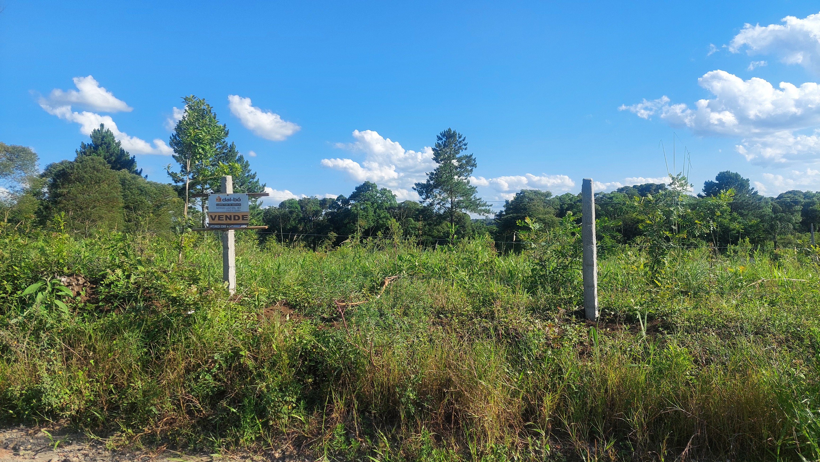 Imagem do Lote com 600 m2 - 15x40 - cercado. frente para estrada municipal da Barra Grande em Três Barras