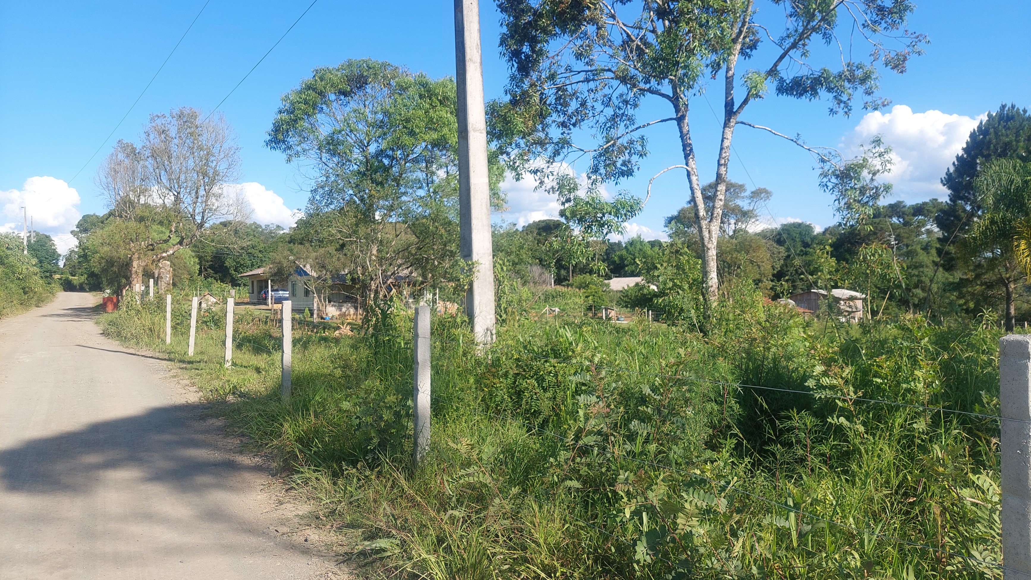 Imagem do Lote com 600 m2 - 15x40 - cercado. frente para estrada municipal da Barra Grande em Três Barras