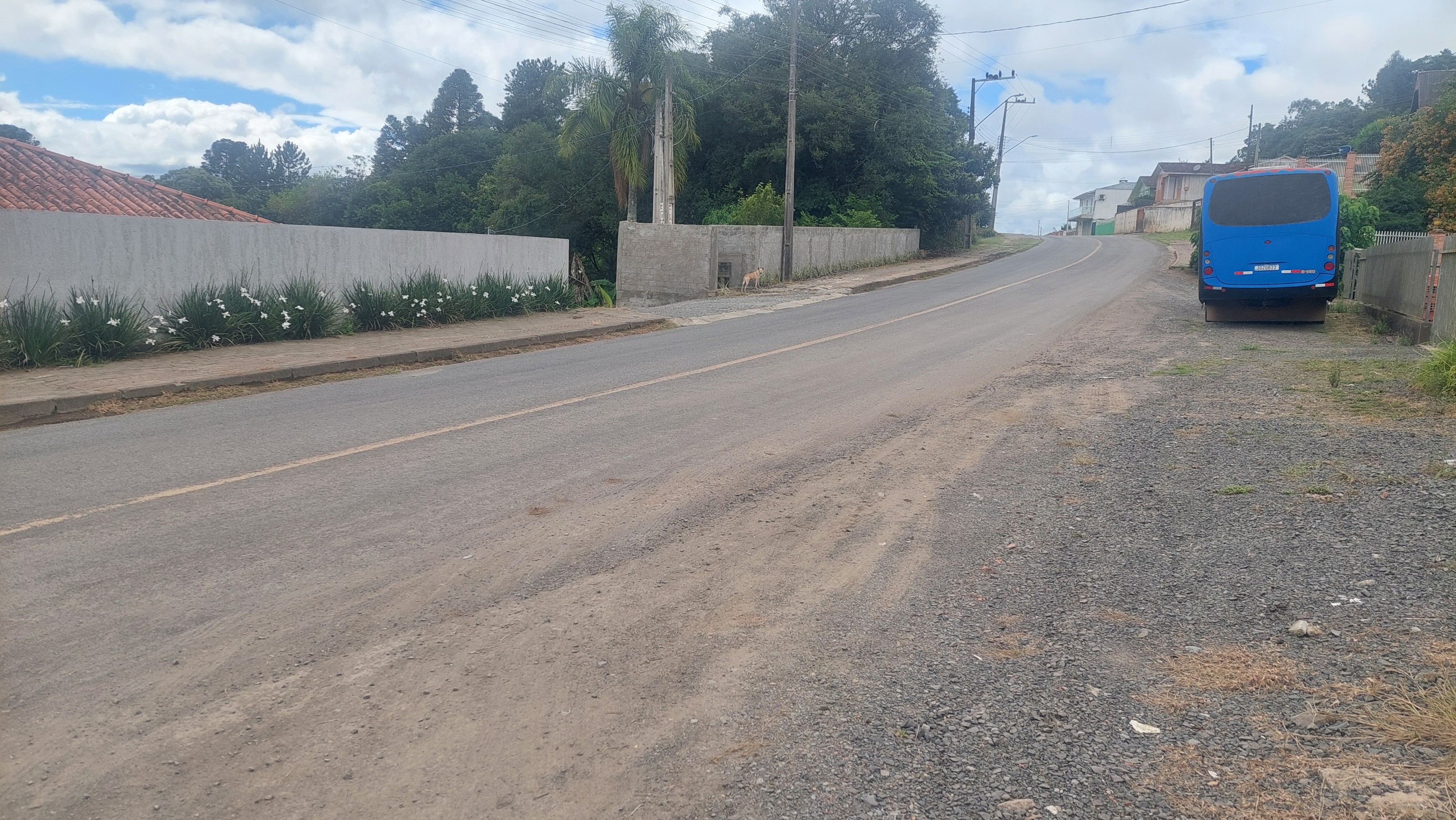 Imagem doLotes em Marcilio Dias a 70 metros do asfalto com 500 m2 Rua Euzébio Piermann Esquina