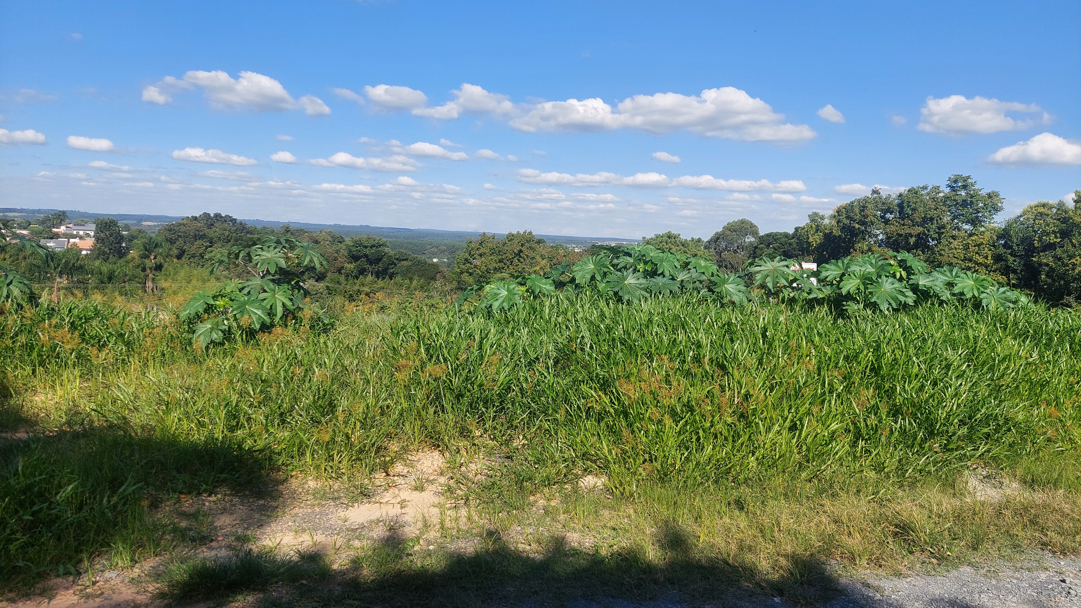Imagem do2 - Lotes com 200 m2 cada um, terreno aplainado bairro Jardim Esperança
