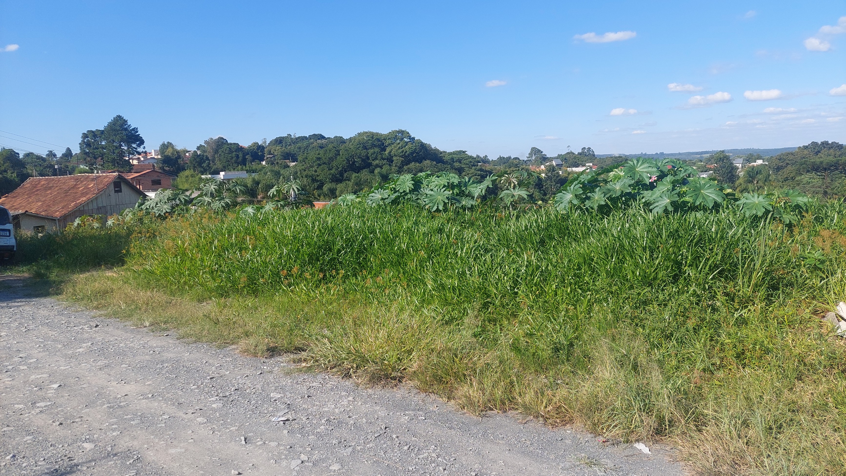 Imagem do2 - Lotes com 200 m2 cada um, terreno aplainado bairro Jardim Esperança