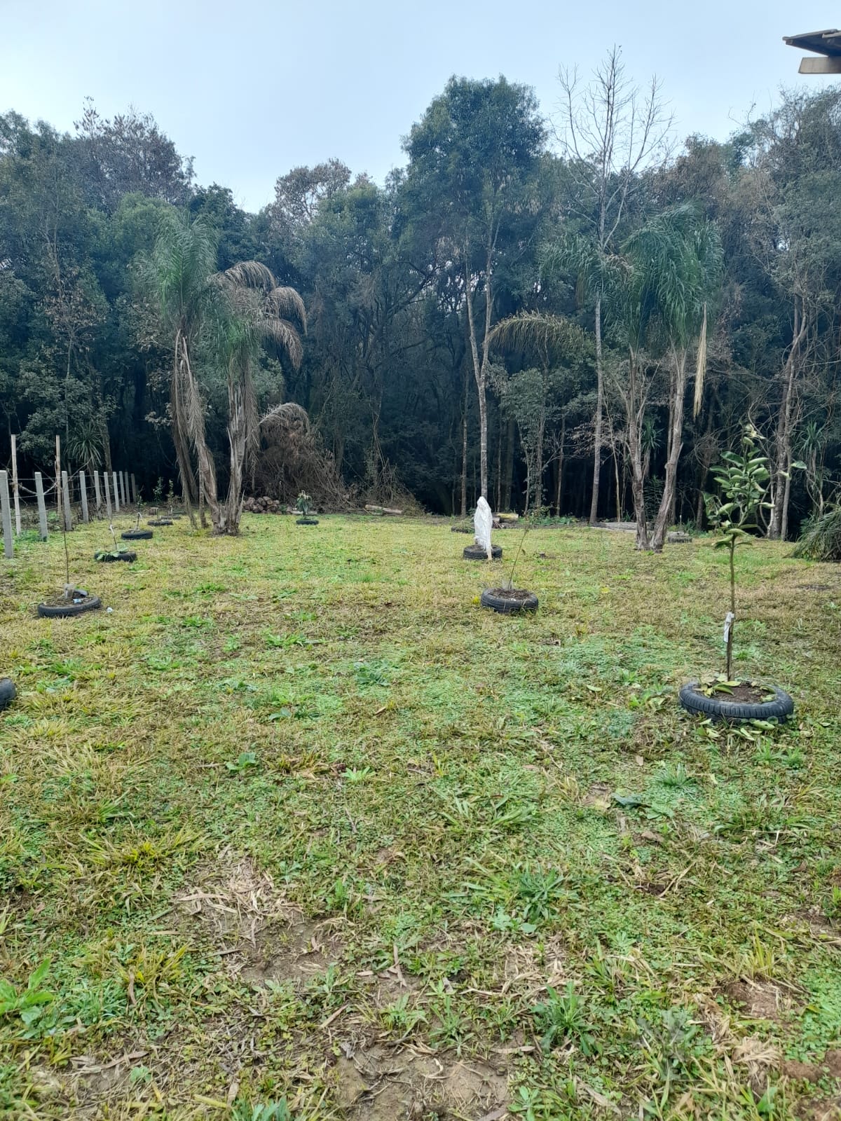 Imagem do A VENDA - Pequena chacara pertinho da cidade