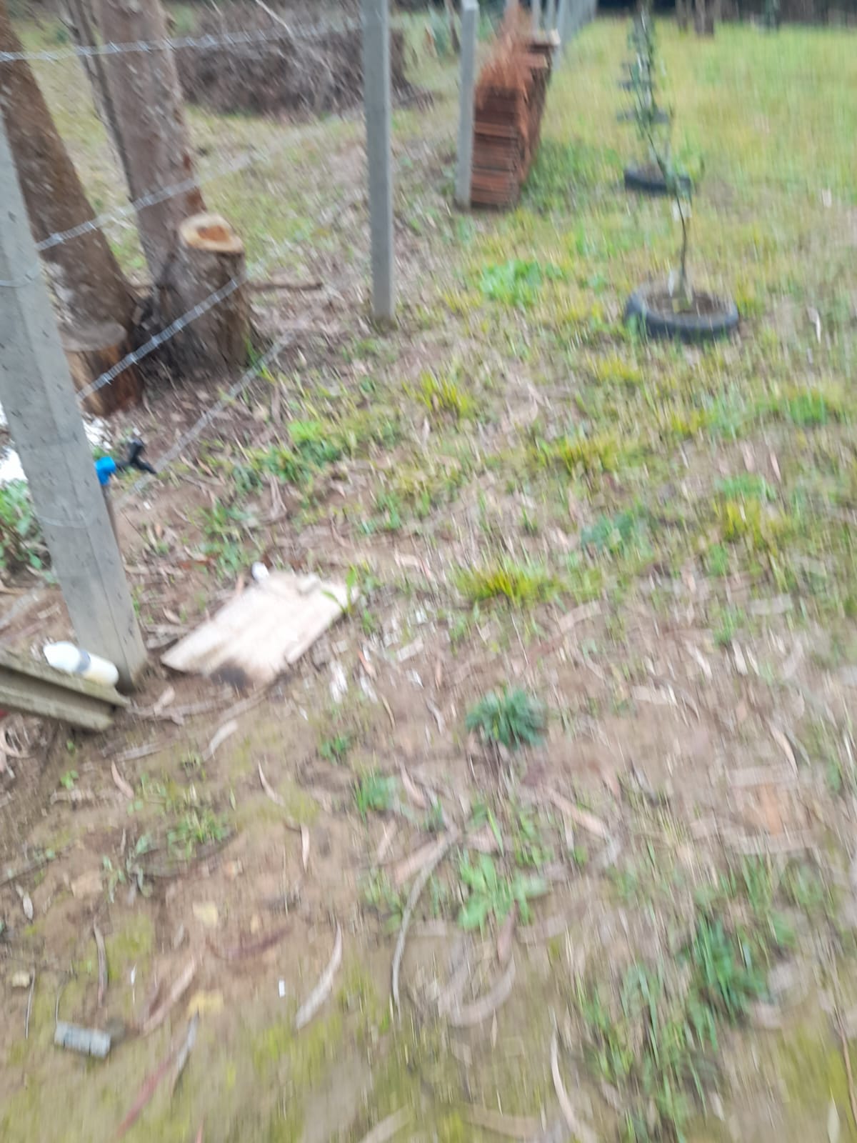 Imagem do A VENDA - Pequena chacara pertinho da cidade