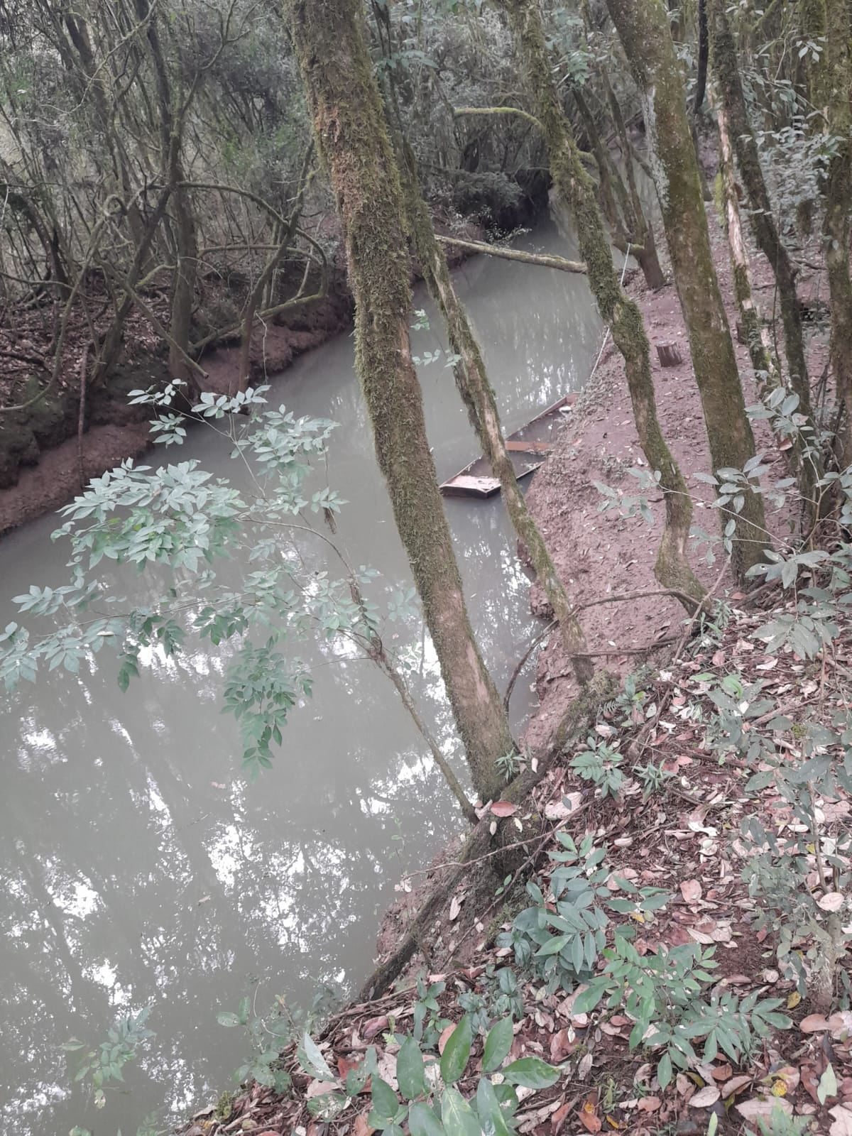 Imagem do A VENDA - Pequena chacara pertinho da cidade