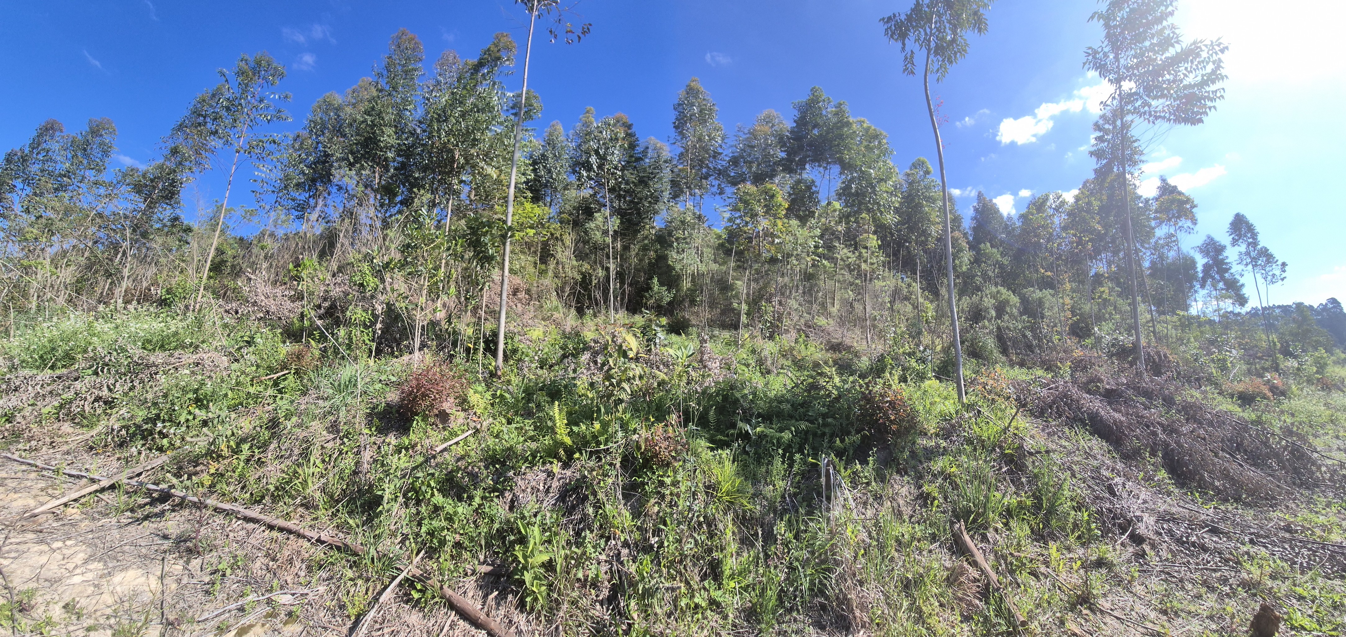 Imagem do A VENDA - TERRENO RURAL COM 62.683,95 M2 - LOCALIDADE D PEDRA BRANCA